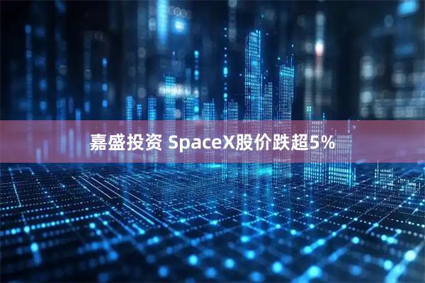 嘉盛投资 SpaceX股价跌超5%